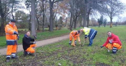 5 Männer setzen Blumenzwiebeln