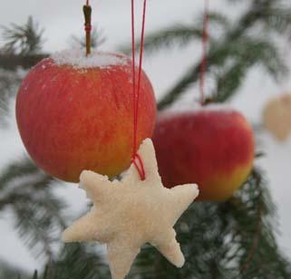 Stadtverwaltung macht Weihnachtspause