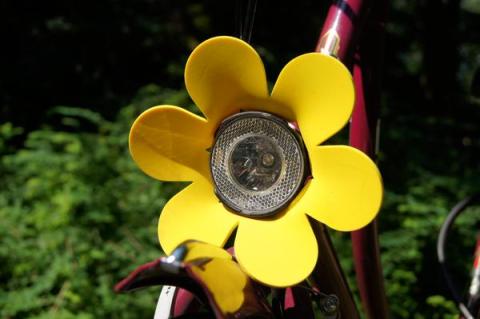 Neukirchen-Vluyner Fahrradblume