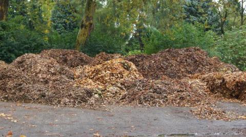 Herbstlaub in Neukirchen-Vluyn