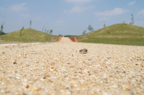 Das Landschaftsband auf Niederberg