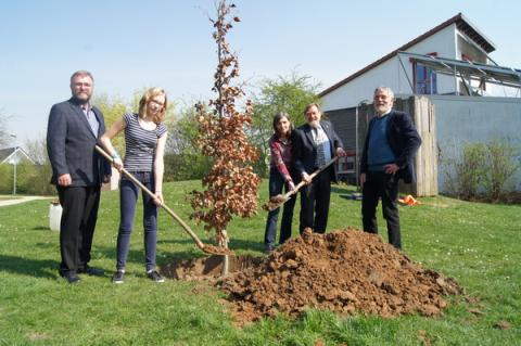 Winfried Exner, Celine Willemsen, die Umweltbeauftragte der Stadt Marion May-Hacker, stellv. Bürgermeister Kurt Best sowie Theo Klinkenberg vor der neu gepflanzten Rotbuche.