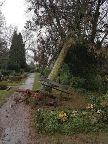 Sturmschäden durch Orkantief Friederike