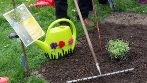 Wildblumenbeete im Dorf Neukirchen